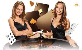 Responsible Golden Monkey browsing on 366bet apk for adult users in Bangladesh